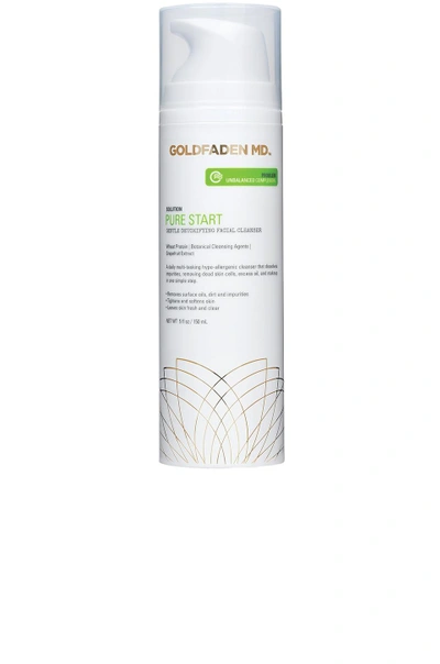 Shop Goldfaden Md Pure Start Detoxifying Facial Cleanser In N,a