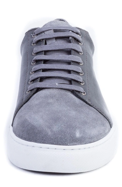 Shop Zanzara Record Low Top Sneaker In Grey Suede/ Leather