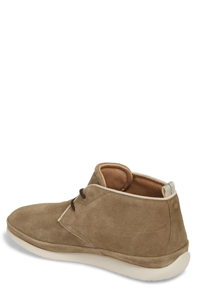Shop Ugg Cali Chukka Boot In Antilope Leather