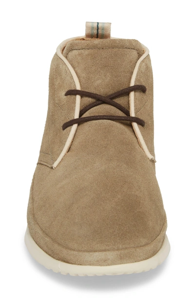 Shop Ugg Cali Chukka Boot In Antilope Leather
