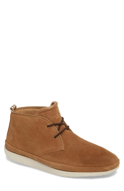 Shop Ugg Cali Chukka Boot In Chestnut Leather