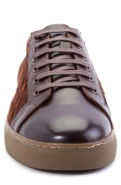 Shop Zanzara Player Woven Low Top Sneaker In Brown Leather/ Suede