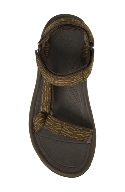Shop Teva Hurricane Xlt 2 Sandal In Black/ Olive Nylon