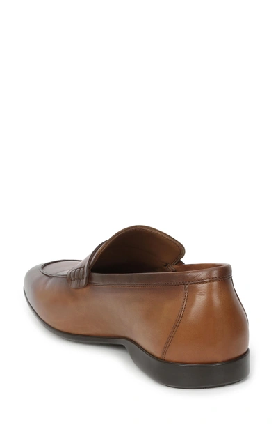 Shop Bruno Magli Margot Penny Loafer In Cognac