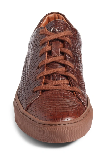 Shop Aquatalia Alaric Sneaker In Medium Brown
