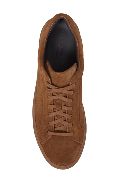 Shop To Boot New York Marshall Sneaker In Brown Suede Leather