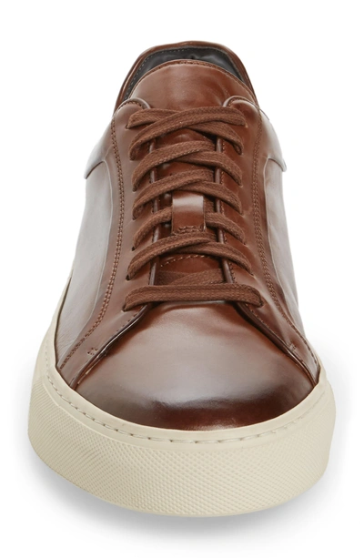 Shop To Boot New York Marshall Sneaker In Marrone Leather