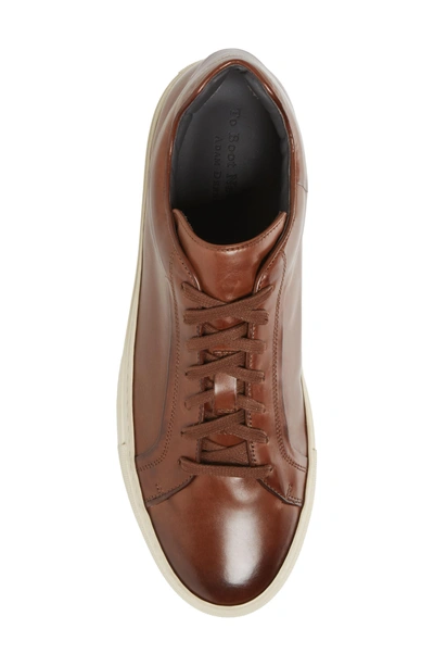 Shop To Boot New York Marshall Sneaker In Marrone Leather