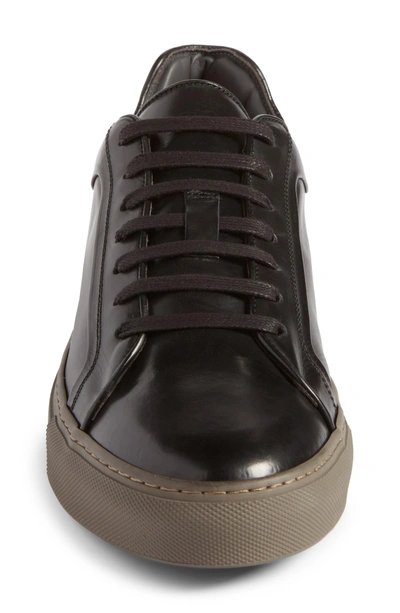 Shop To Boot New York Marshall Sneaker In Black/tort