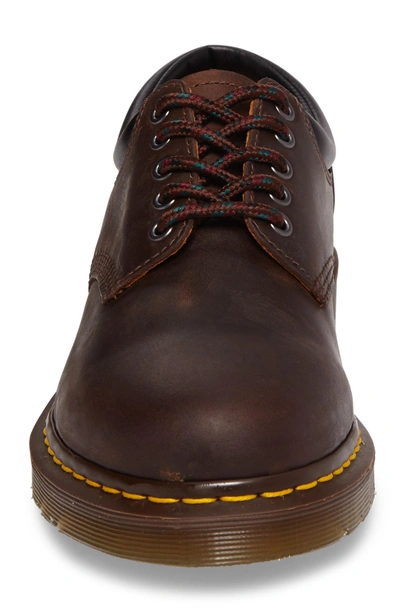 Dr. Martens Water Repellent Plain Toe Derby In Gaucho