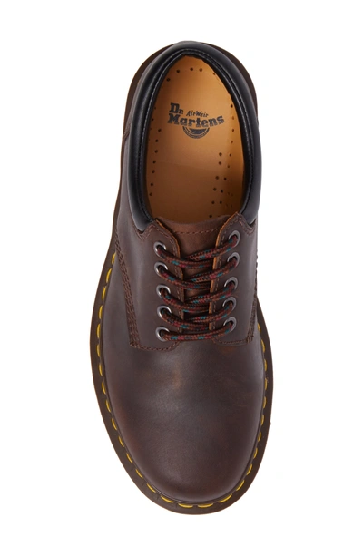 Dr. Martens Water Repellent Plain Toe Derby In Gaucho