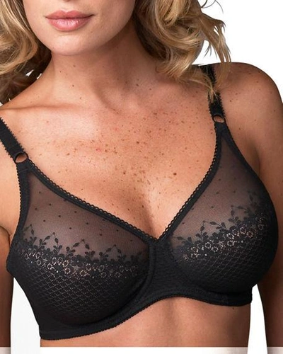 Shop Chantelle Tamaris Bra In Black