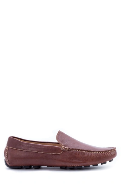 Shop Zanzara Picasso 3 Moc Toe Driving Loafer In Brown Leather
