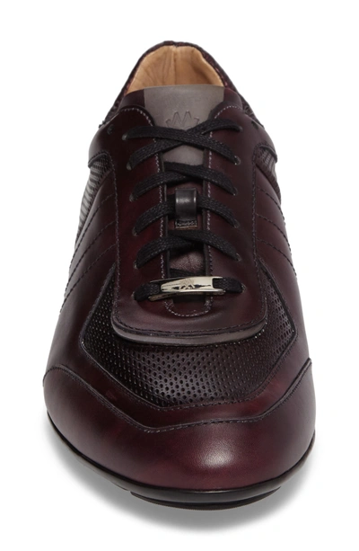 Shop Mezlan Redon Embossed Sneaker In Burgundy/ Grey Leather