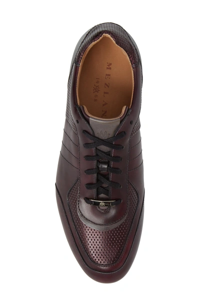 Shop Mezlan Redon Embossed Sneaker In Burgundy/ Grey Leather