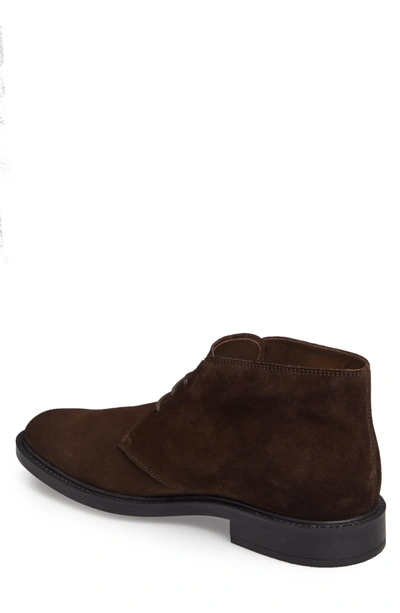 Shop Tod's 'polacco' Chukka Boot In Ebony Brown Suede