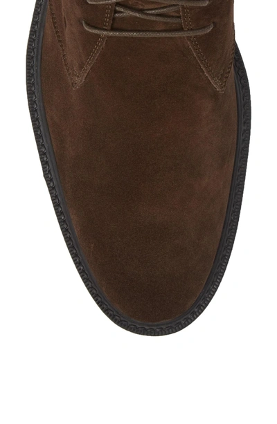 Shop Tod's 'polacco' Chukka Boot In Ebony Brown Suede