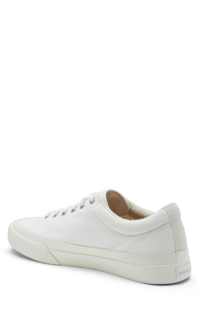 Shop Brandblack Vesta Low Top Sneaker In White