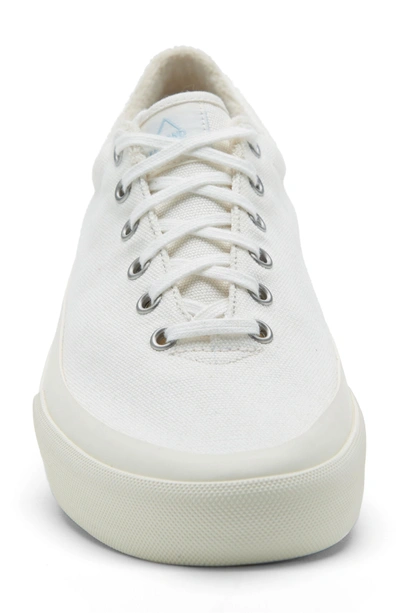 Shop Brandblack Vesta Low Top Sneaker In White