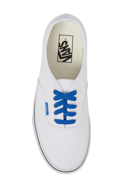 Shop Vans Authentic Sketch Sidewall Sneaker In True White/ Victoria Blue