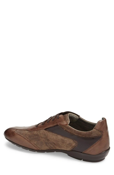 Shop Mezlan 'vega' Sneaker In Mocha/ Taupe