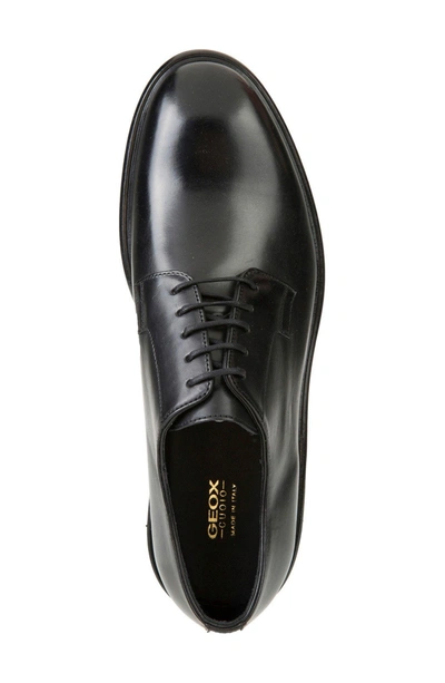 Geox Guildford 7 Plain Toe Derby In Black Leather | ModeSens