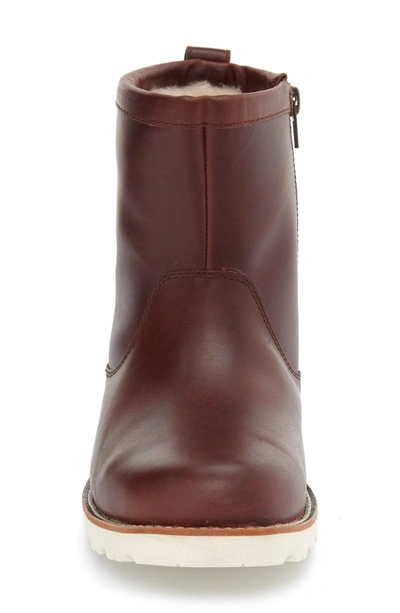 Shop Ugg Hendren Tl Waterproof Zip Boot In Cordovan