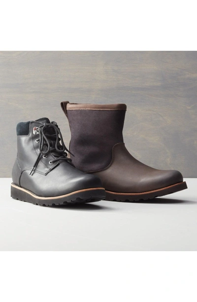 Shop Ugg Hendren Tl Waterproof Zip Boot In Cordovan