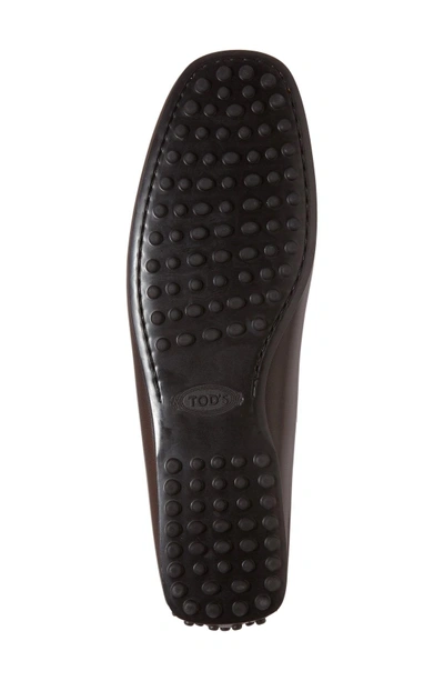 Shop Tod's 'city' Penny Driving Shoe In Dark Brown Leather