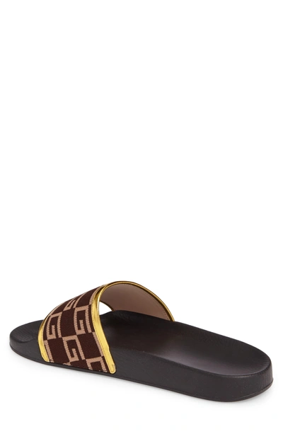 Shop Gucci Pursuit Slide Sandal In Brown