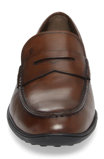 Shop Tod's Owen Penny Loafer In Brown