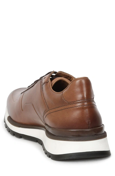 Shop Bruno Magli Davio Low Top Sneaker In Cognac