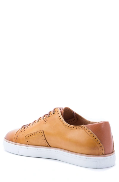 Shop Robert Graham Marti Low Top Sneaker In Cognac Leather