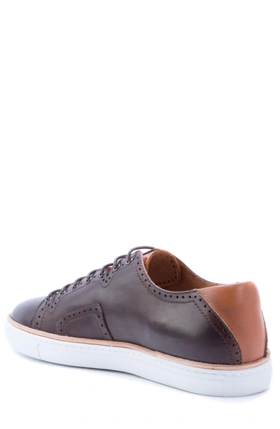 Shop Robert Graham Marti Low Top Sneaker In Brown Leather