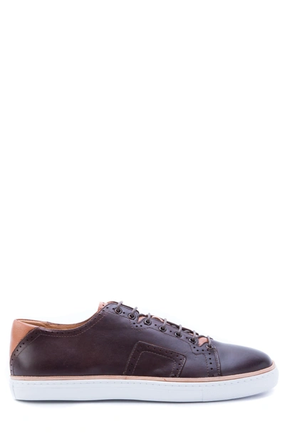 Shop Robert Graham Marti Low Top Sneaker In Brown Leather