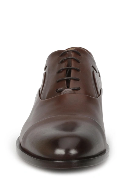 Shop Bruno Magli Sassiolo Cap Toe Oxford In Brown