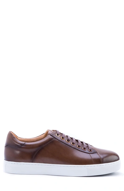 Shop Zanzara Music Low Top Sneaker In Brown Leather