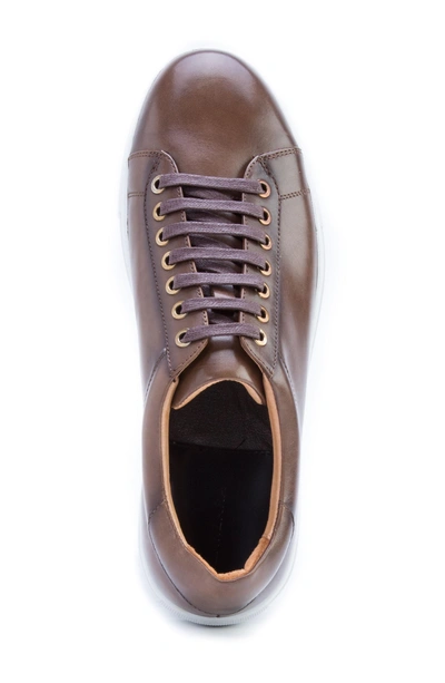 Shop Zanzara Music Low Top Sneaker In Brown Leather