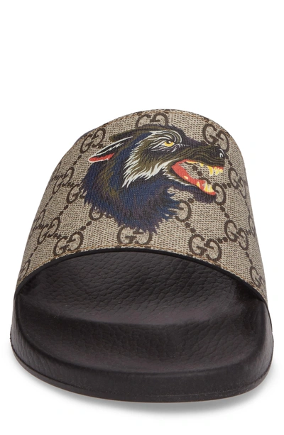 Shop Gucci Gg Supreme Wolf Slide In Beige/ Ebony