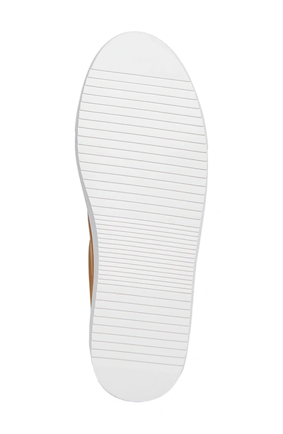 Steve Madden Everest Zip Sneaker In Tan ModeSens