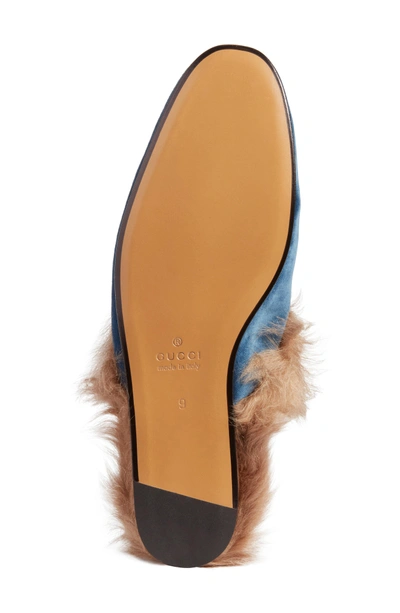 Shop Gucci Princetown Genuine Shearling Lined Mule Loafer In Cobalt Multi
