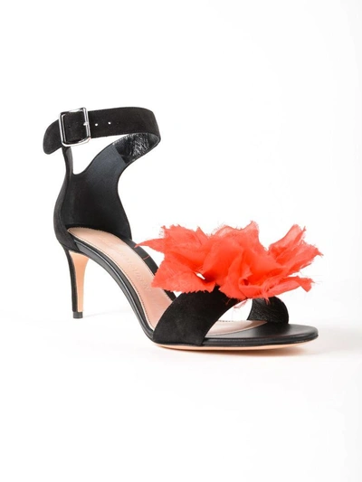 Shop Alexander Mcqueen Floral Strappy Sandals In Blk-lush Red