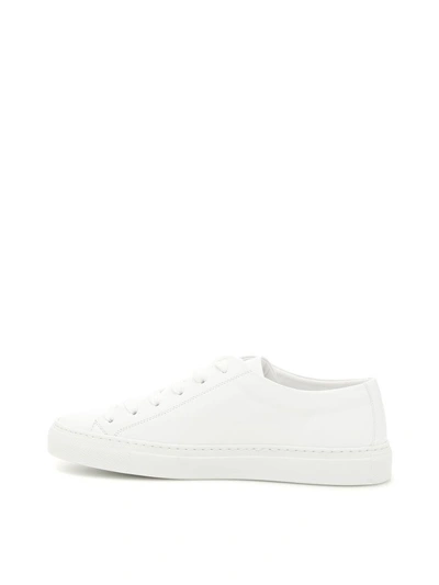 Shop Versace Nappa Sneakers With Embroidery In Bianco Ottico Orobianco