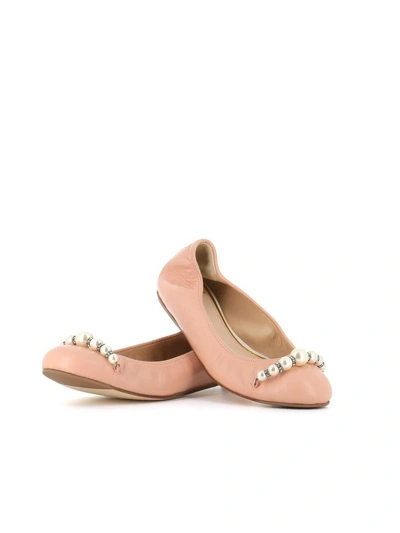 Shop Lanvin Ballerinas In Pink