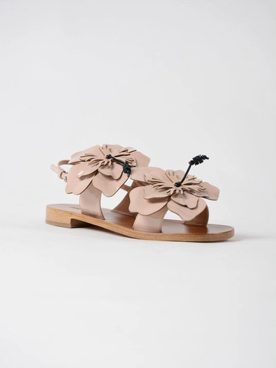 Shop Miu Miu Floral Strap Sandals In Cipria