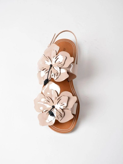 Shop Miu Miu Floral Strap Sandals In Cipria