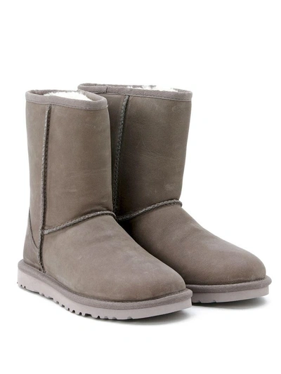 Shop Ugg Classic Short Boots In Grey Stressed Leather In Grigio