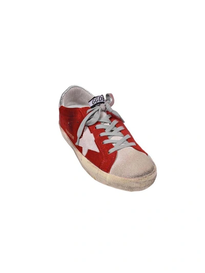 Shop Golden Goose Superstar Sneakers In Multicolour