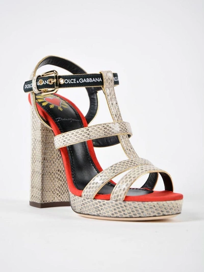 Shop Dolce & Gabbana Keira Sandals In Roccia/rosso