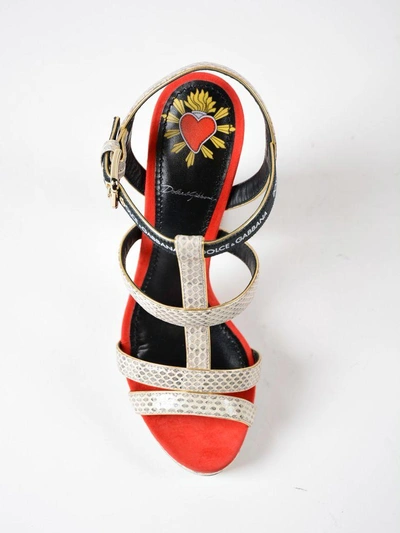 Shop Dolce & Gabbana Keira Sandals In Roccia/rosso